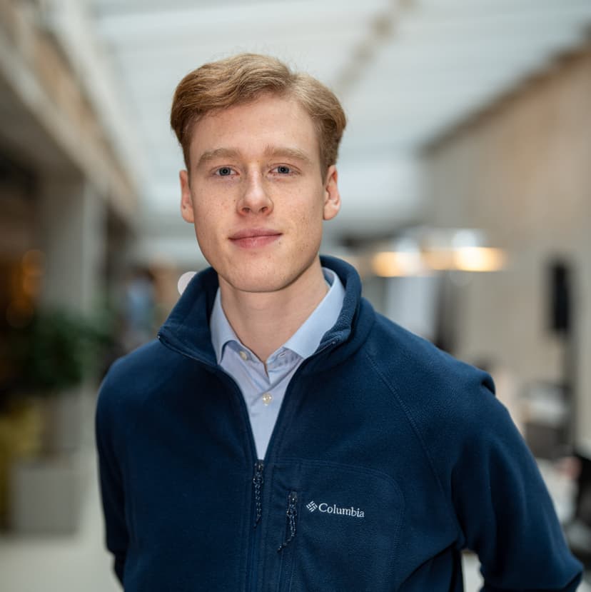 Frans Björnsson, vd