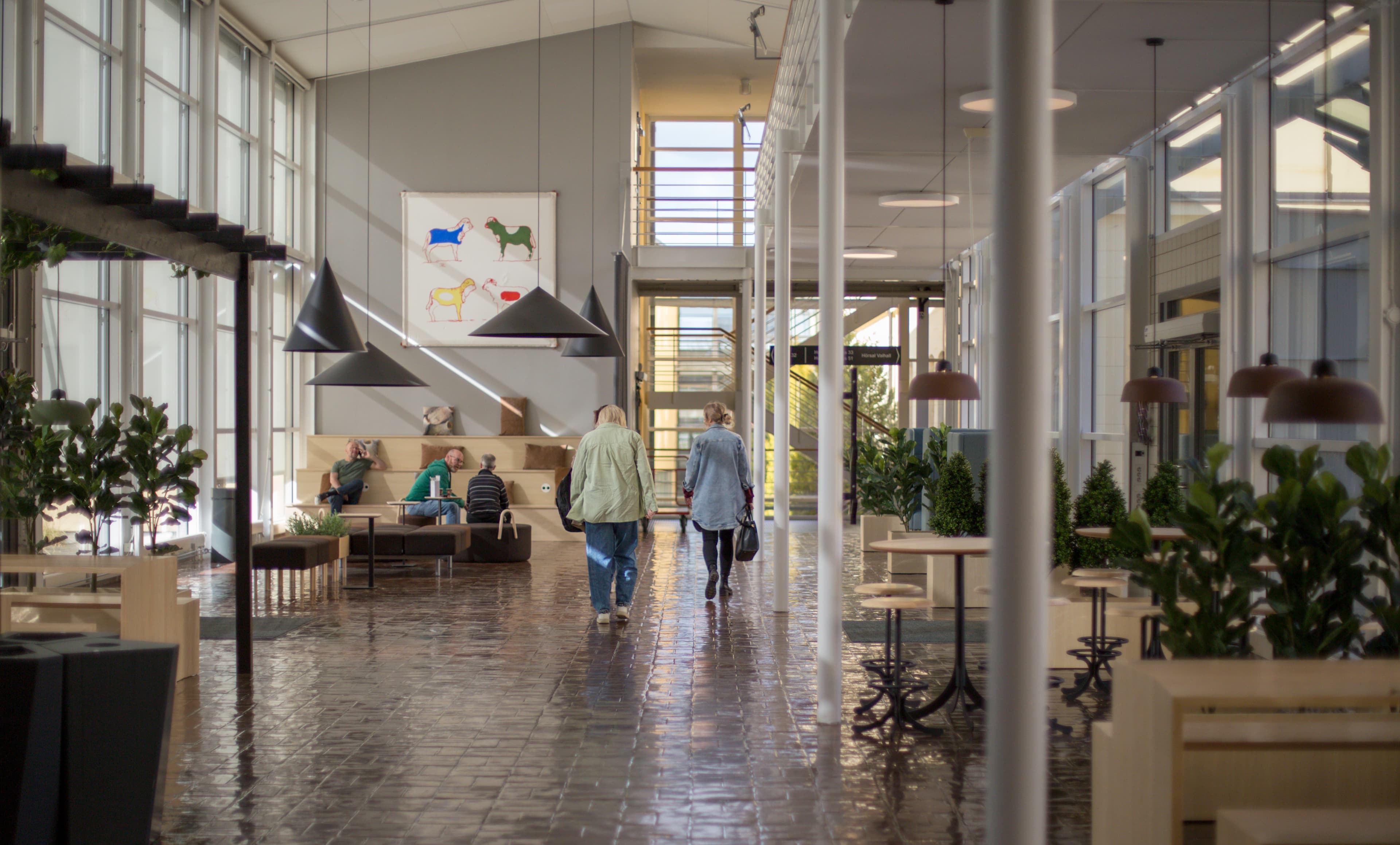 Bild på cf5c62ad-80bd-43b5-abfb-38319b6dab7c