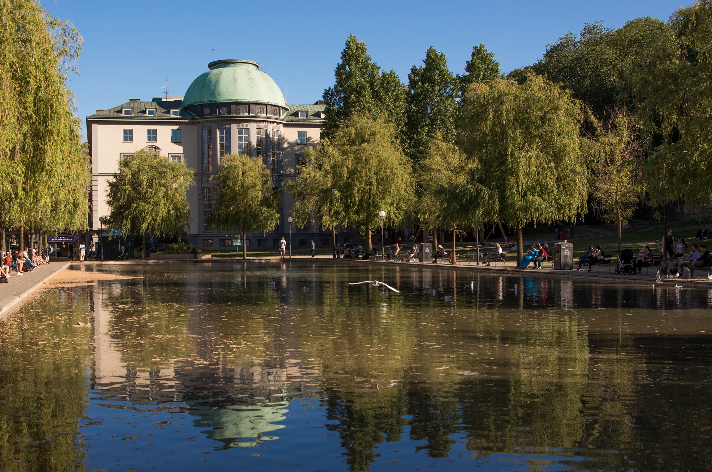 Bild på 0dcc1738-c336-457a-8b0e-bc6a4b1df67b