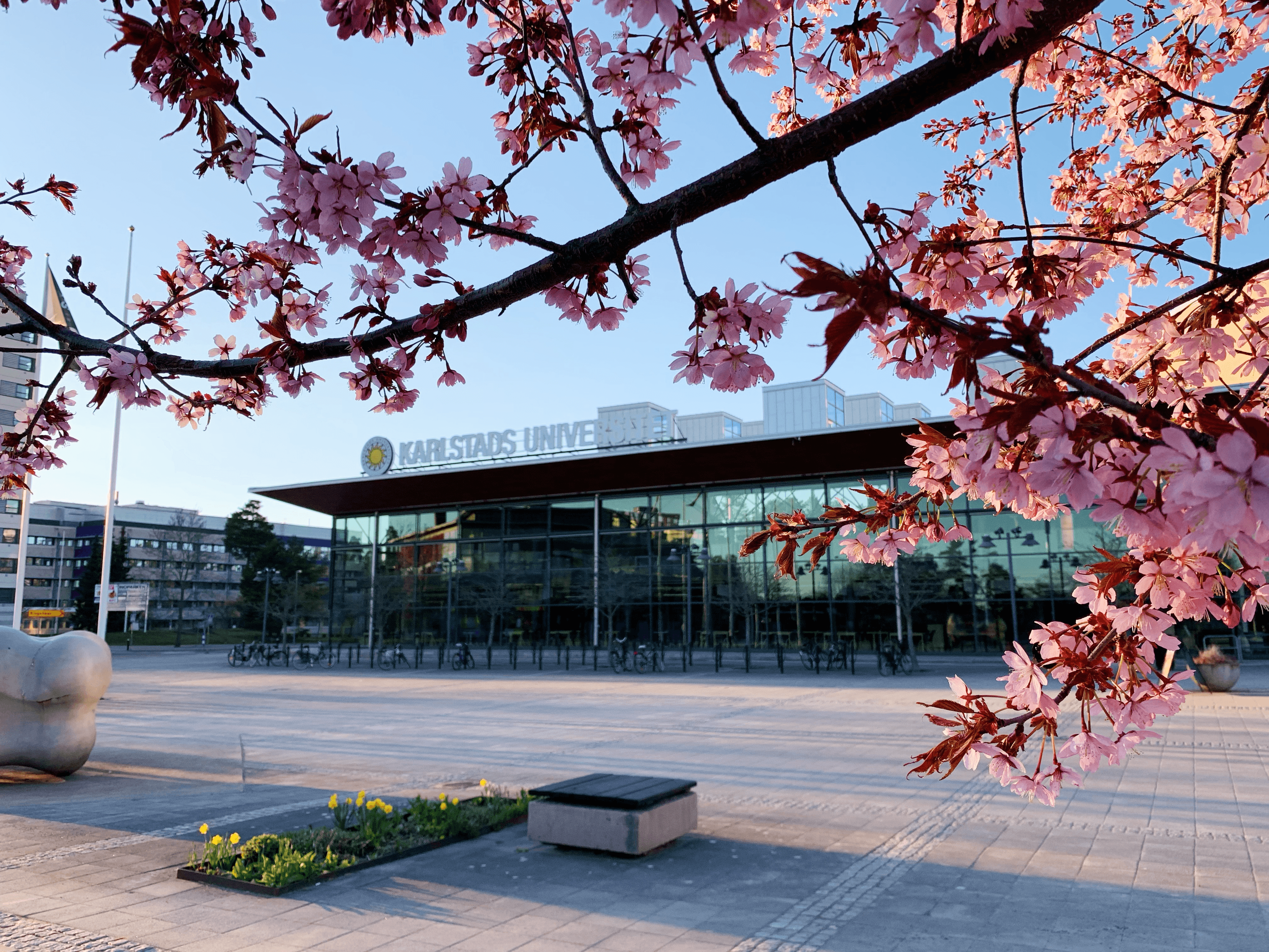 Bild på adce34f4-4a15-4ae7-87f9-63634e71bebf