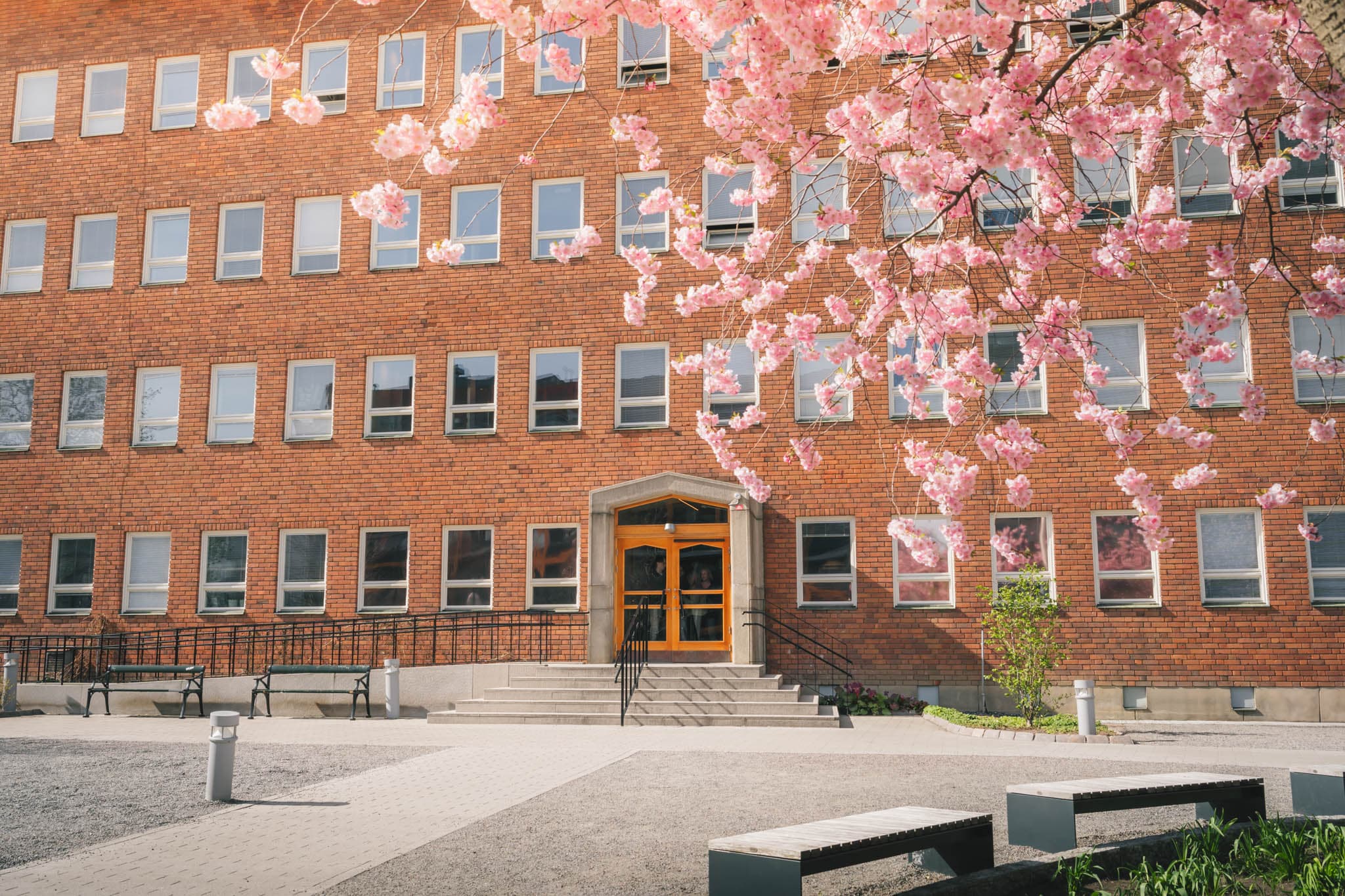 Bild på Viktor Rydberg Gymnasium Sundbyberg