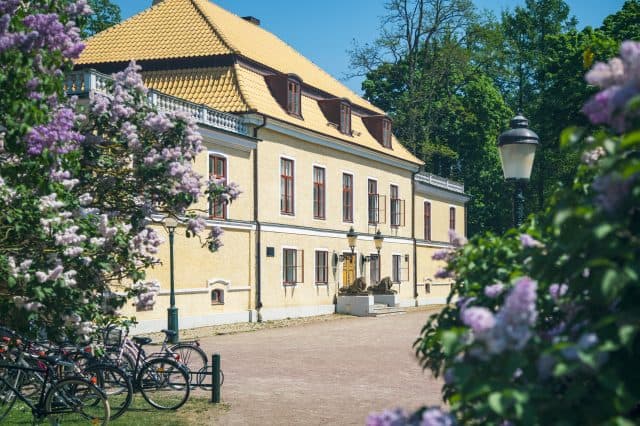 Bild på DSC05178-640x426.jpg