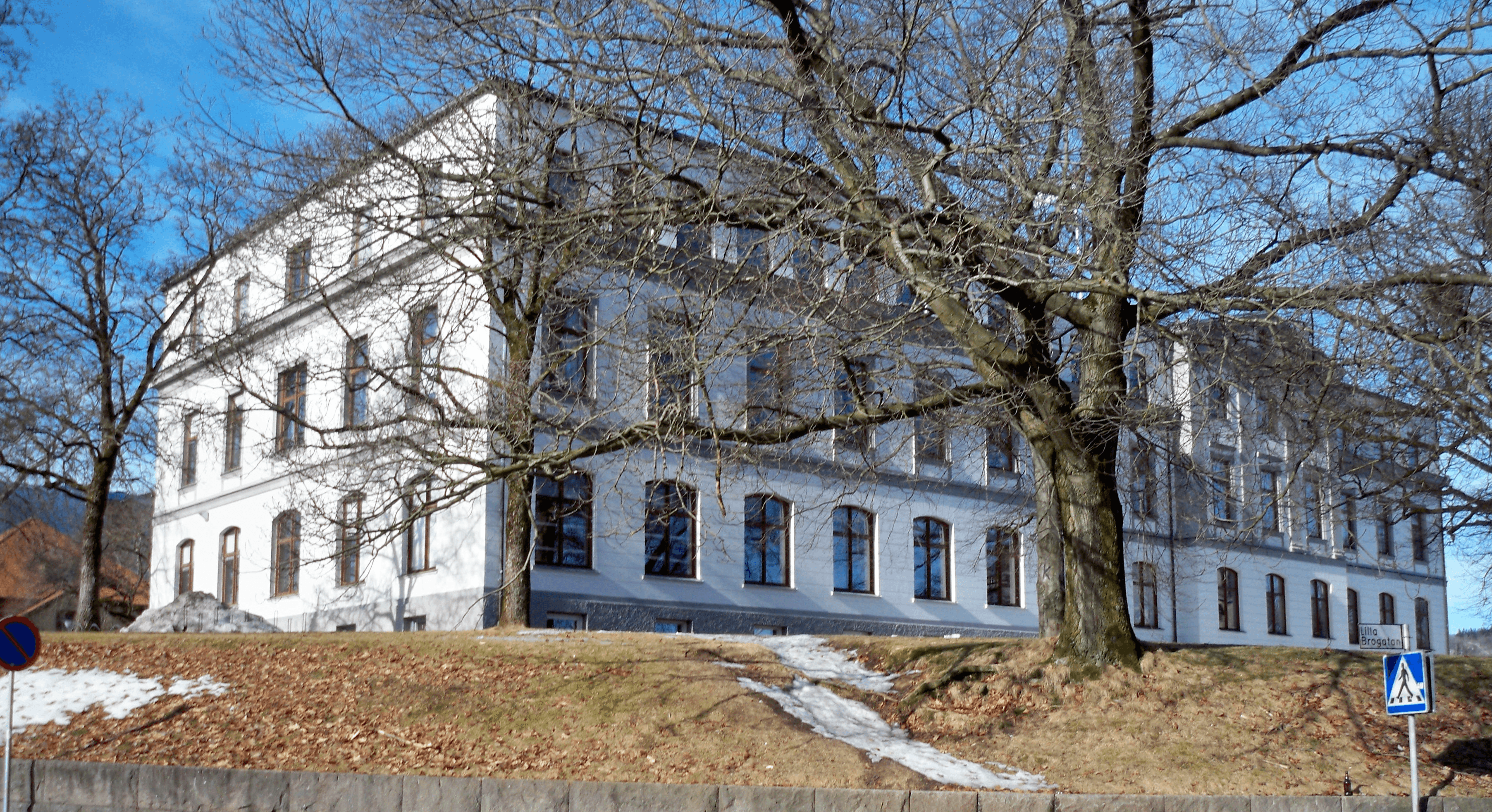 Bild på Sven Eriksonsgymnasiet