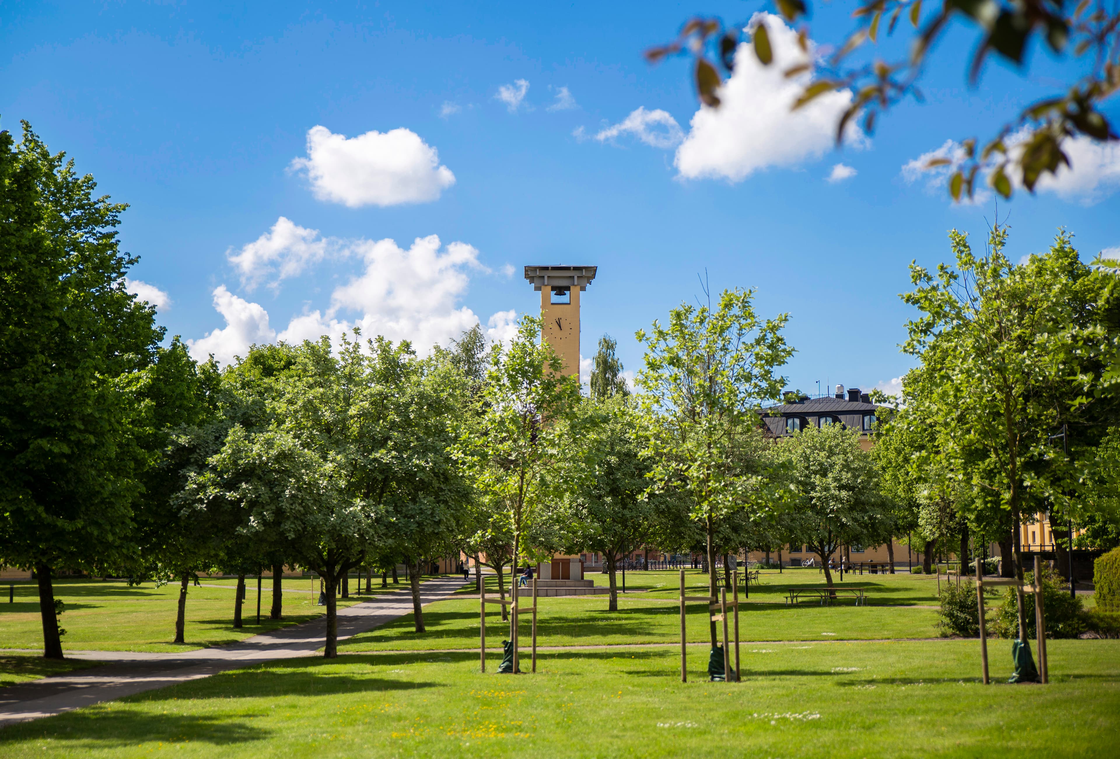 Bild på 7052660b-70f6-4d7f-8847-4c30ba1ffd04