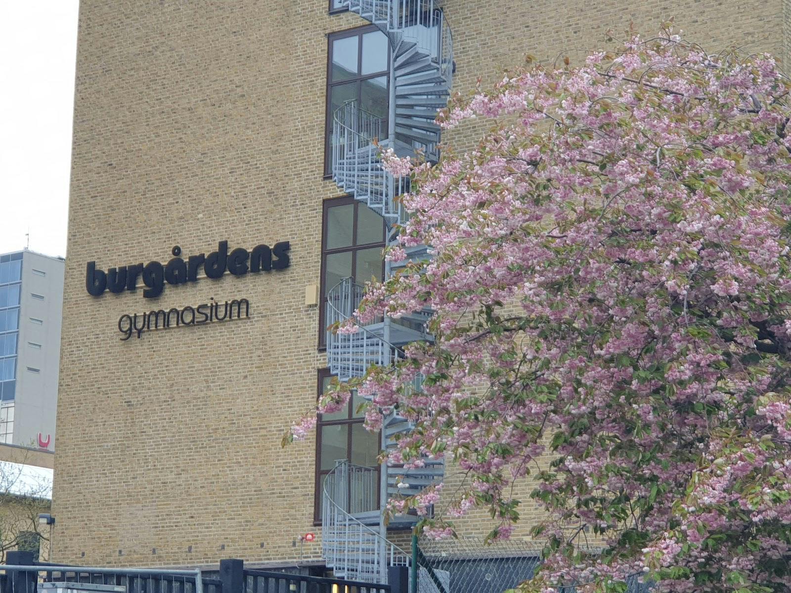Bild på Burgårdens Gymnasium