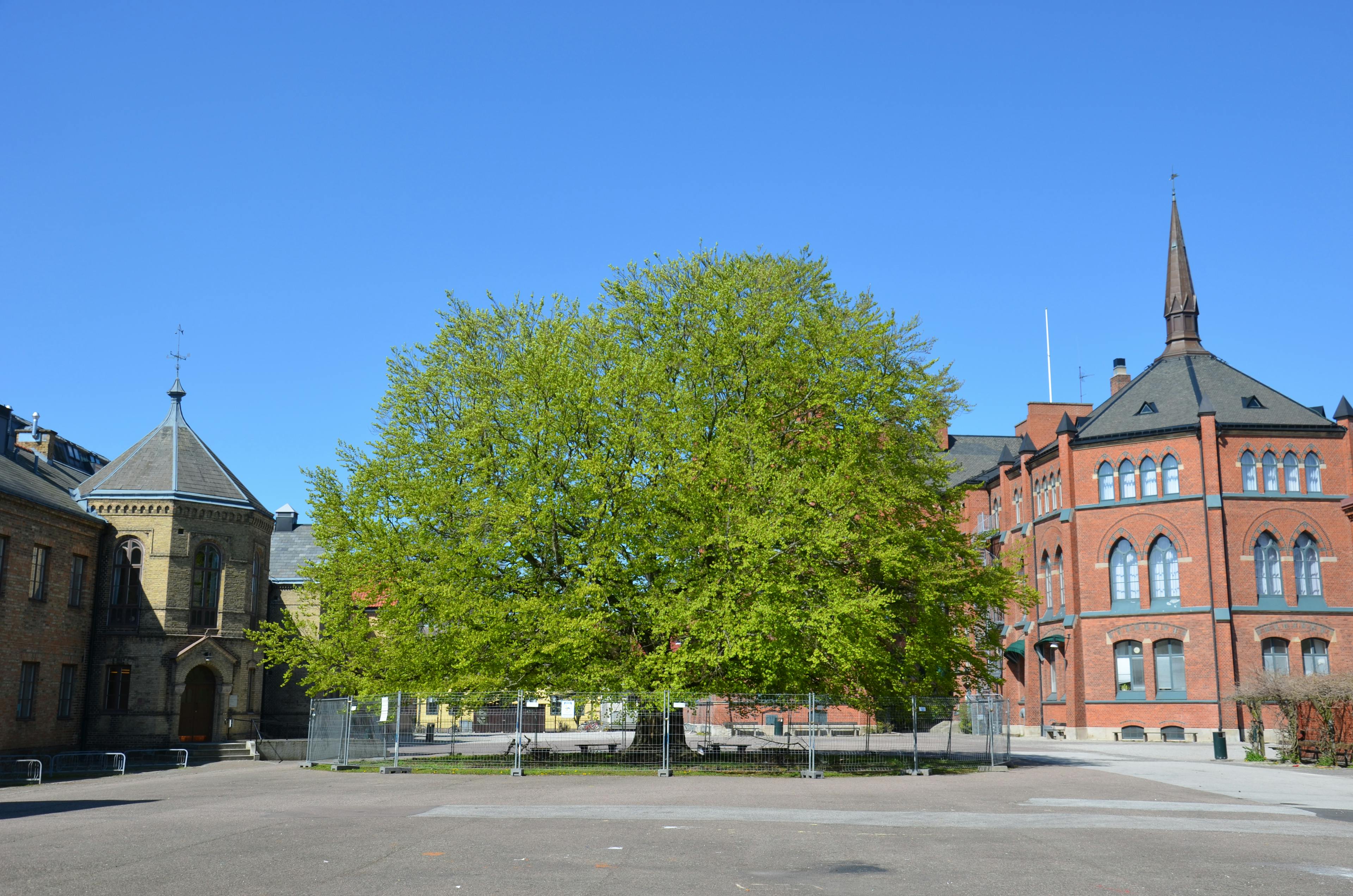 Katedralskolan i Lund