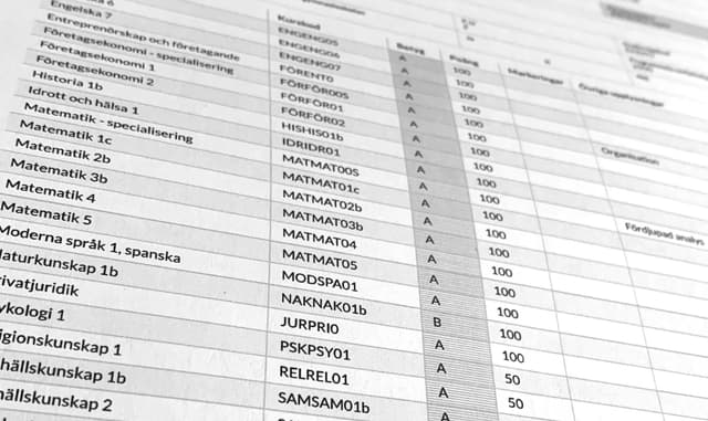 Språkvalet i grundskolan: Så funkar reglerna för meritpoäng