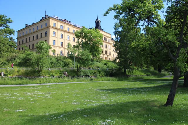 Topp 10 gymnasier med högst avgångsbetyg i Stockholm 2022