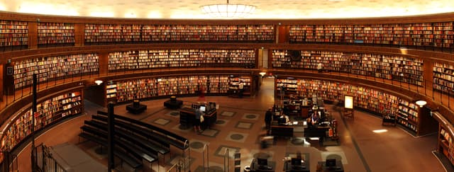 Vad som krävs för att komma in på humanistiska programmet