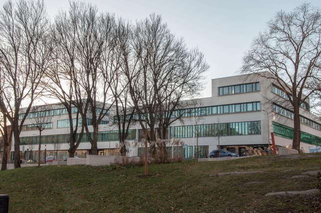 Topp 20: Gymnasierna som skickar flest till Försvarshögskolan