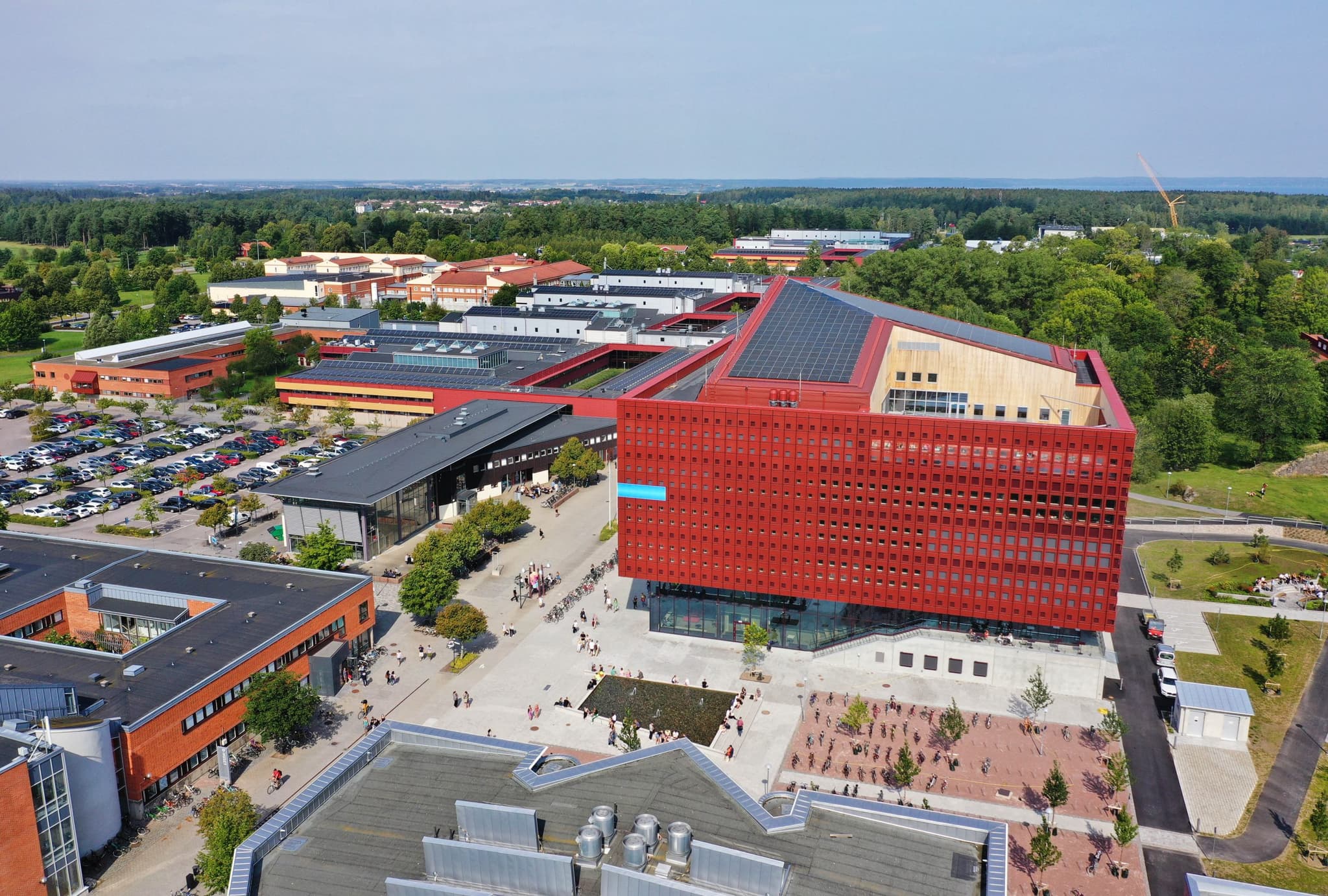Läkarprogrammet LIU - Antagningspoäng